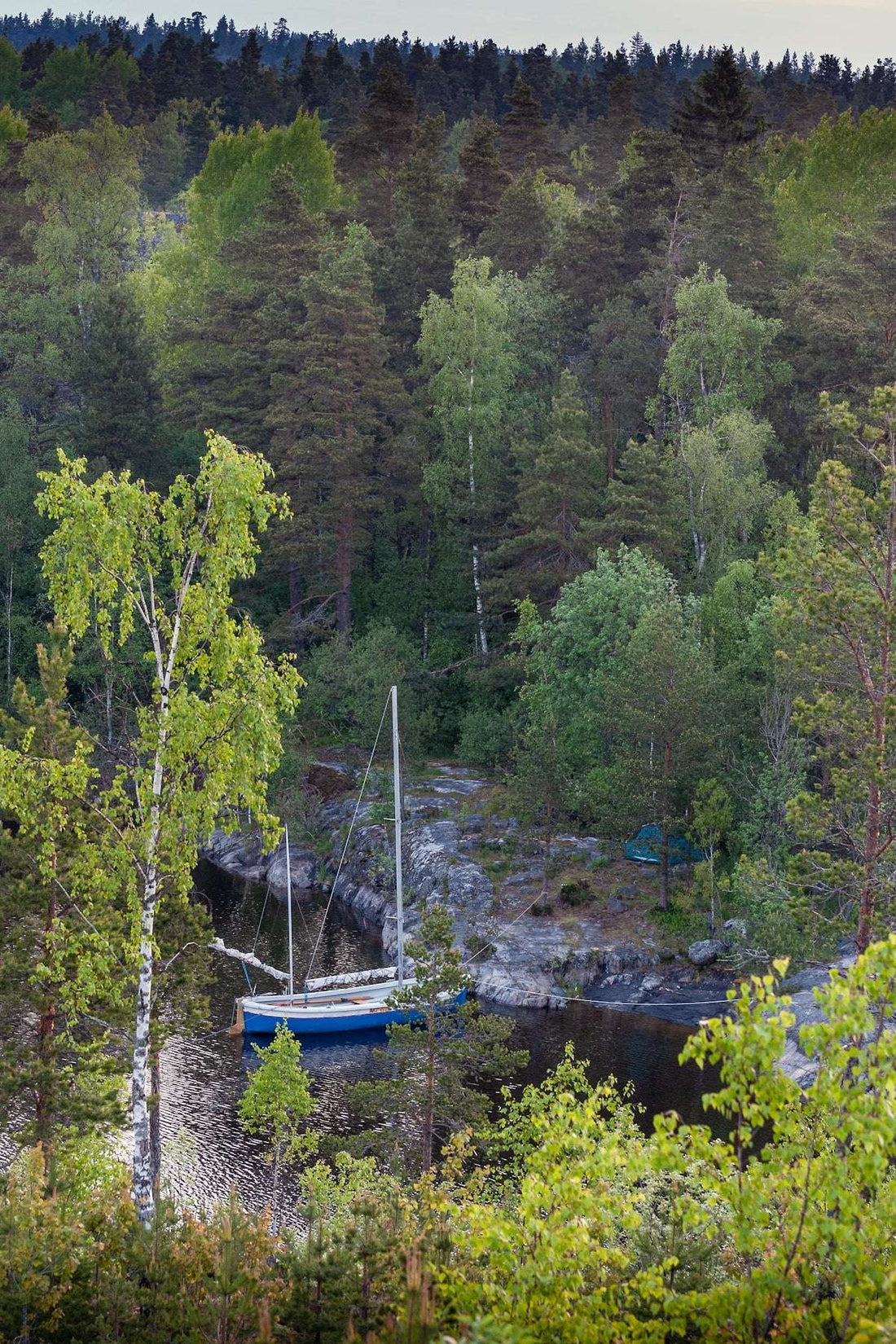 De viktigaste punkterna att tänka på innan du investerar i figuriner