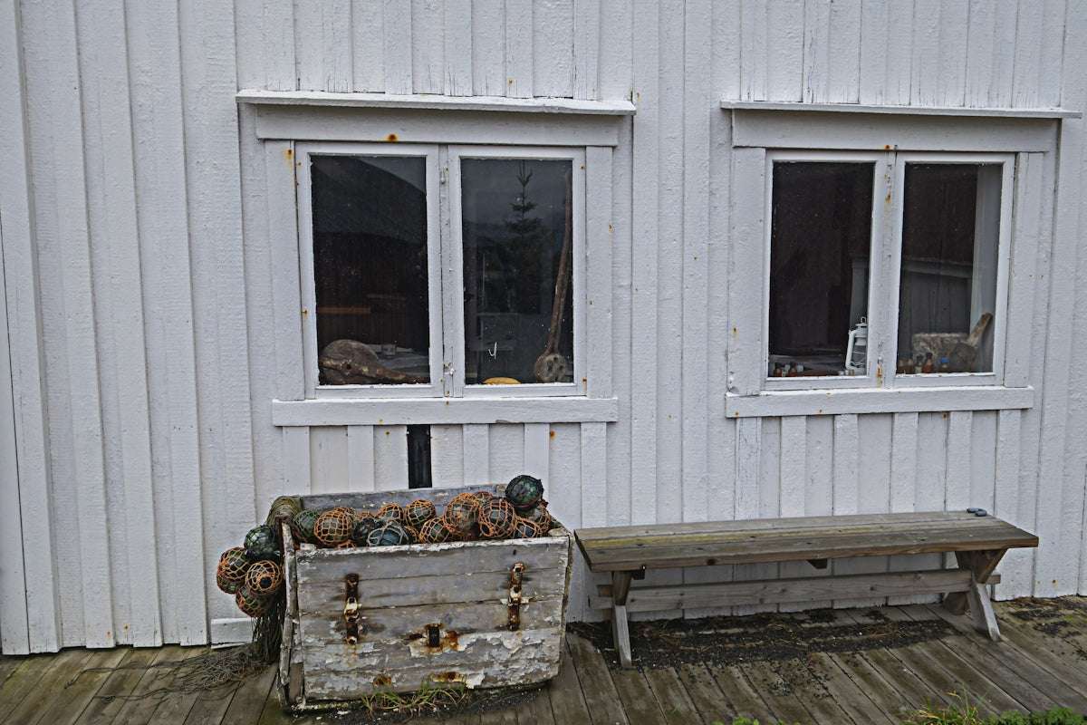 Gosedjur vs Dockor: Vilket Passar För Dig?