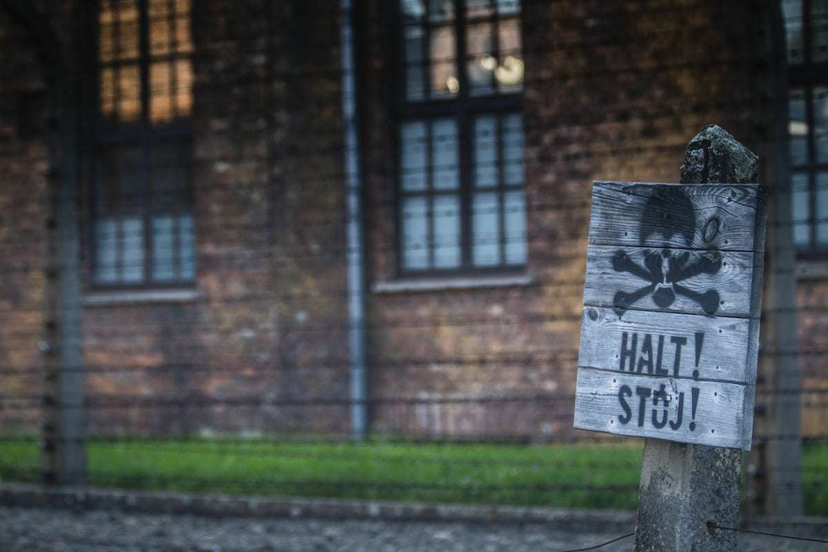 Så gör du ditt helt egna unika gosedjur – en hands-on-guide
