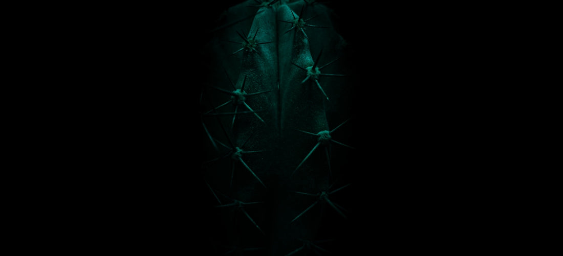 a man in a suit and tie standing in the dark