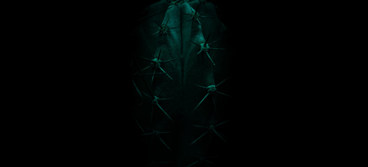 a man in a suit and tie standing in the dark