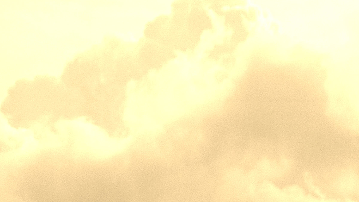 Soft, warm clouds illuminated by bright sunlight.