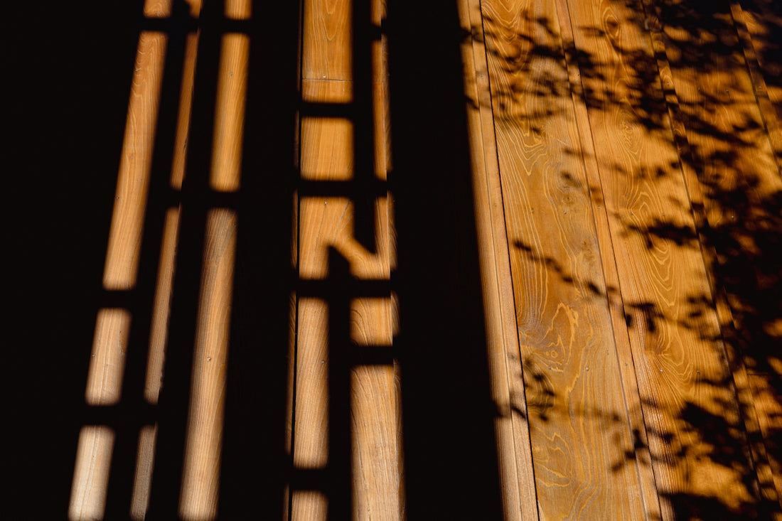 Sunlight casts shadows of leaves and fence on wood.