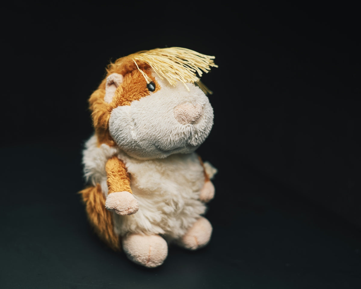 A fluffy stuffed guinea pig sits against a dark background