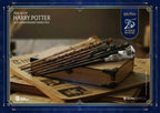 Harry Potter Pen Blind Box (6) 30 cm