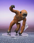 Godzilla x Kong: The New Empire S.H. Monster Arts Action Figures 2-Pack Suko & Mothra Bandai Tamashii Nations