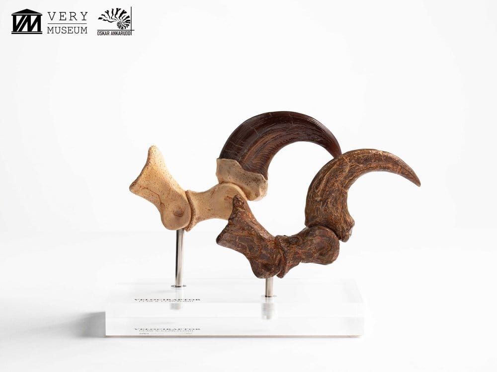 Jurassic Park ECC Elite Creature Line Figur Velociraptor Fotklor och Fossilklor 20 cm