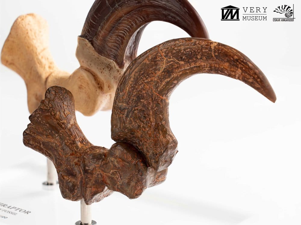 Jurassic Park ECC Elite Creature Line Figur Velociraptor Fotklor och Fossilklor 20 cm