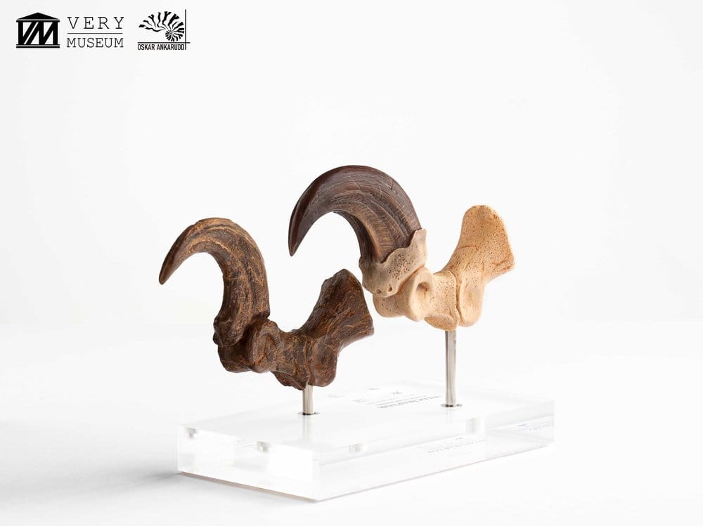 Jurassic Park ECC Elite Creature Line Figur Velociraptor Fotklor och Fossilklor 20 cm