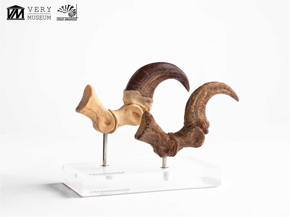 Jurassic Park ECC Elite Creature Line Figur Velociraptor Fotklor och Fossilklor 20 cm