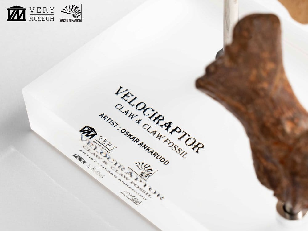 Jurassic Park ECC Elite Creature Line Figur Velociraptor Fotklor och Fossilklor 20 cm