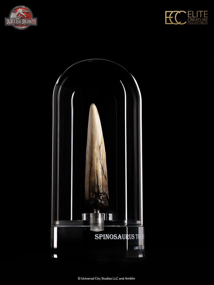 Jurassic Park III Prop Replica 1/1 Spinosaurus Tooth 14 cm