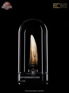 Jurassic Park III Prop Replica 1/1 Spinosaurus Tooth 14 cm