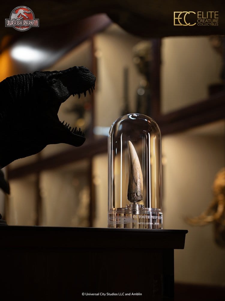 Jurassic Park III Prop Replica 1/1 Spinosaurus Tooth 14 cm