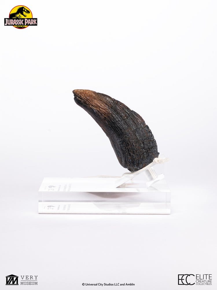 Jurassic Park 1/1 Replica Velociraptor-klotå Typ A 11 cm
