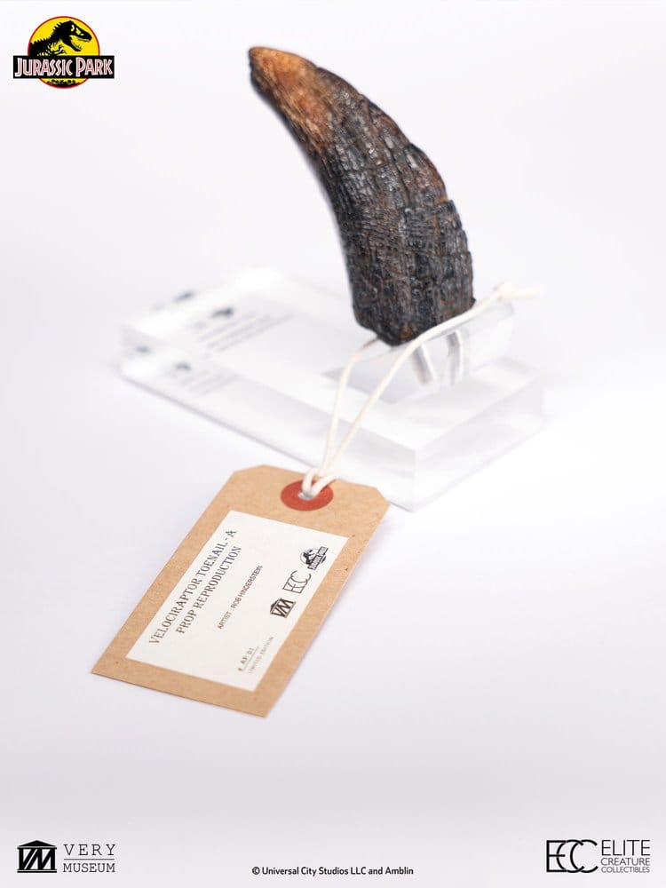 Jurassic Park 1/1 Replica Velociraptor-klotå Typ A 11 cm
