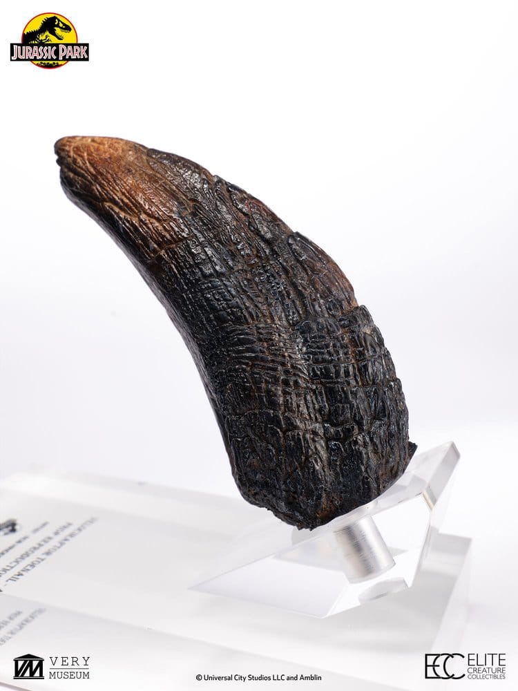 Jurassic Park 1/1 Replica Velociraptor-klotå Typ A 11 cm
