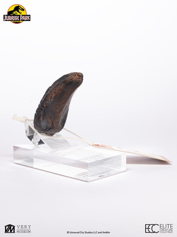Jurassic Park 1/1 Replica Velociraptor-klotå Typ A 11 cm