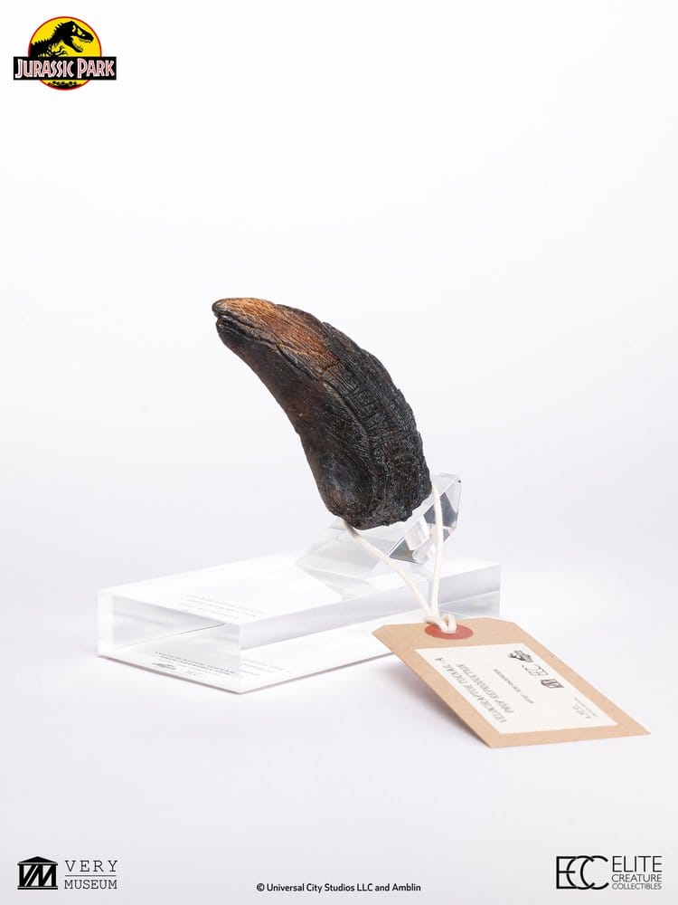 Jurassic Park 1/1 Replica Velociraptor-klotå Typ A 11 cm