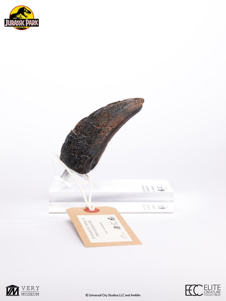 Jurassic Park 1/1 Replica Velociraptor-klotå Typ A 11 cm