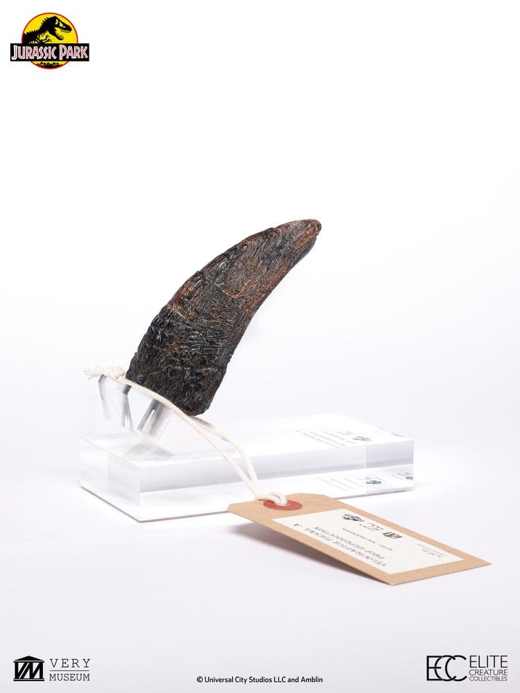 Jurassic Park 1/1 Replica Velociraptor-klotå Typ A 11 cm