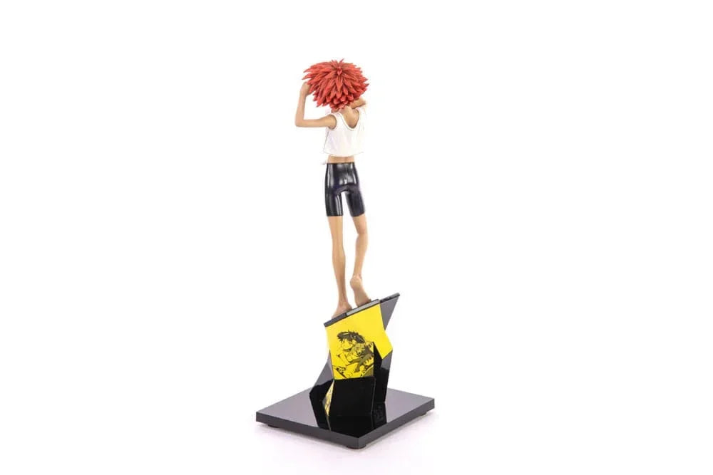 Cowboy Bebop Figur 1/8 Ed & Ein 28 cm First 4 Figures