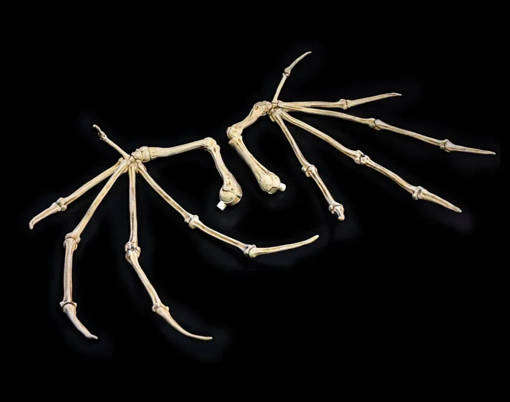 Mythic Legions: All Stars 6 Actionfigur Tillbehör - Benvingar i Ben Four Horsemen Toy Design