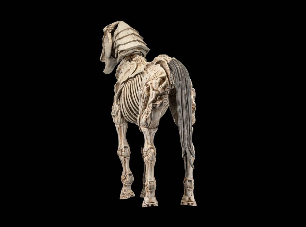 Mythic Legions: Reinforcement 3 Action Figur Skeleton Steed Legion Builder