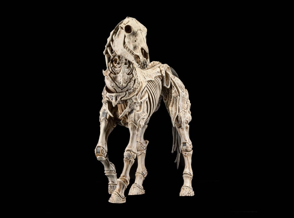 Mythic Legions: Reinforcement 3 actionfigur Skeleton Steed Legion Builder