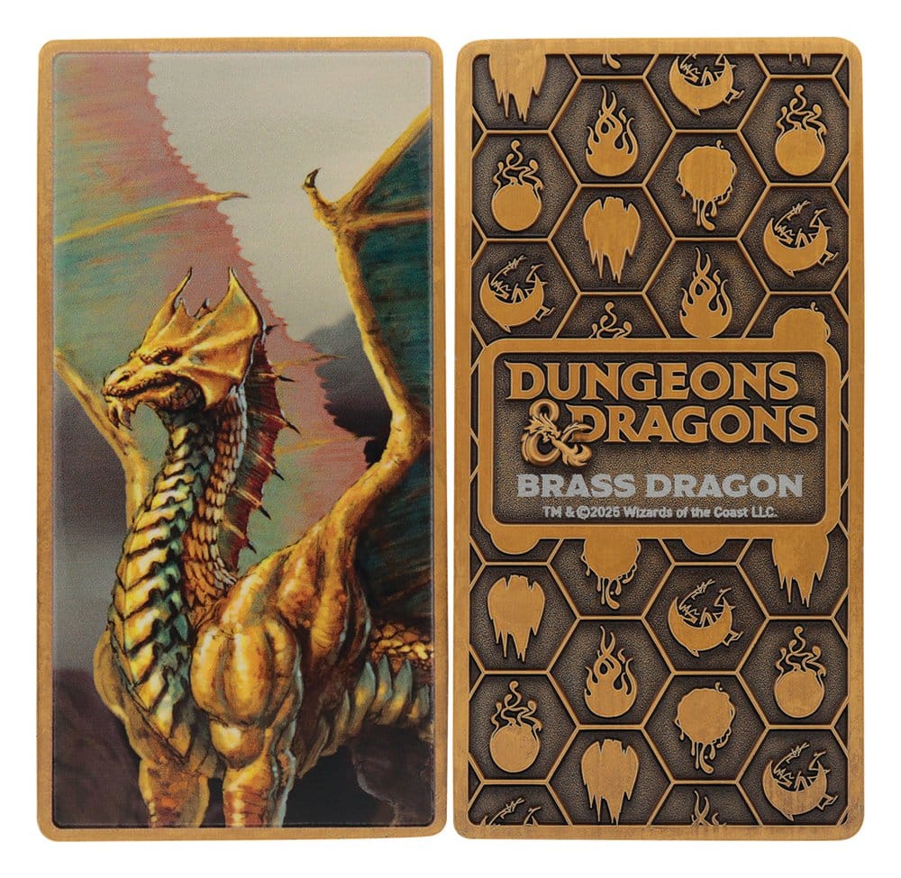 Dungeons & Dragons Ingot Set Magnet Warrior Limited Edition