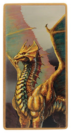 Dungeons & Dragons Ingot Set Magnet Warrior Limited Edition