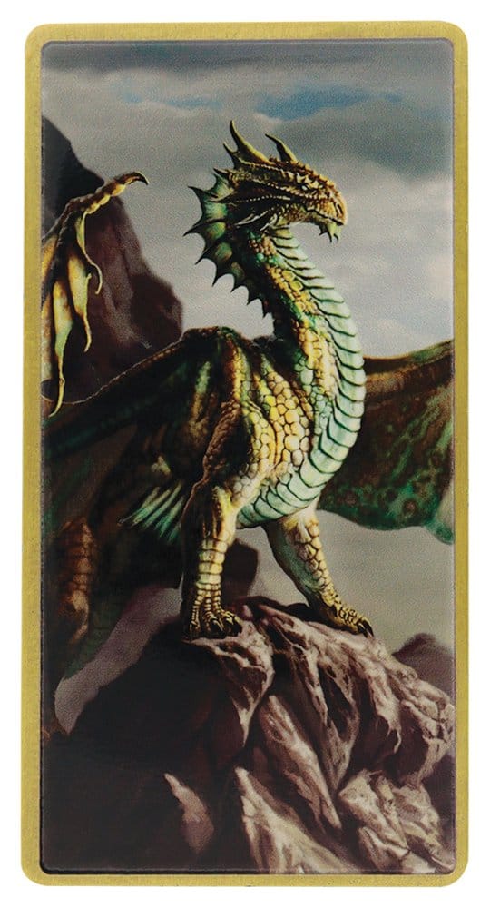 Dungeons & Dragons Ingot Set Magnet Warrior Limited Edition