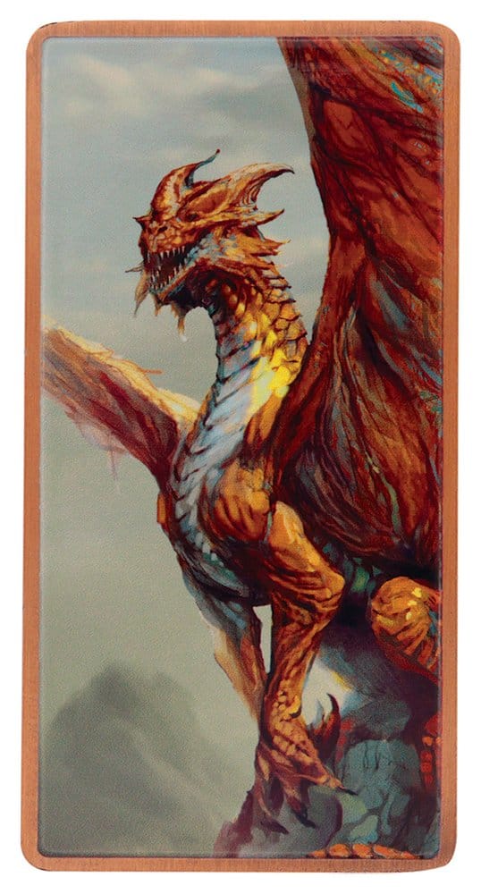 Dungeons & Dragons Ingot Set Magnet Warrior Limited Edition