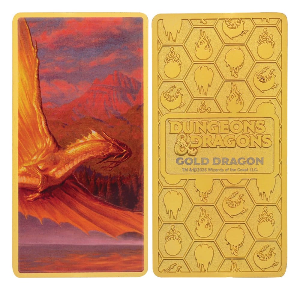 Dungeons & Dragons Ingot Set Magnet Warrior Limited Edition