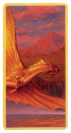 Dungeons & Dragons Ingot Set Magnet Warrior Limited Edition