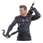 Hawkeye Bust 1/6 - Marvel Mini-Bust av Hawkeye, 15 cm Gentle Giant