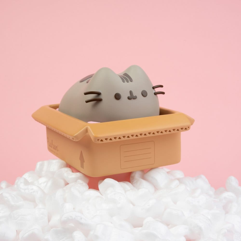 Pusheen Money Box