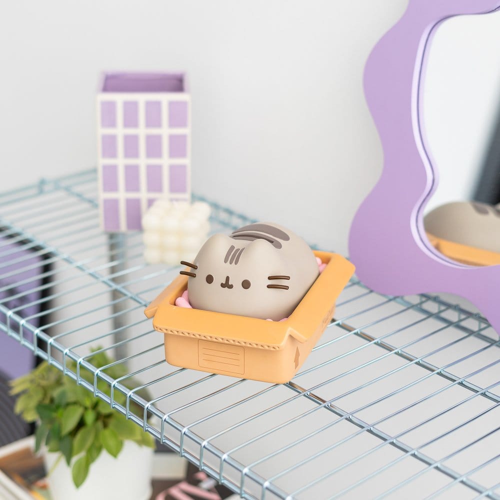 Pusheen Money Box