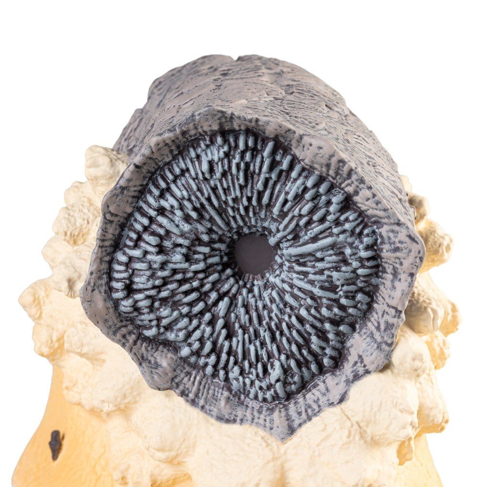 Dune Bookends 17 cm