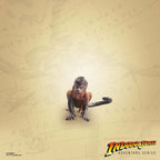 Indiana Jones Adventure Series Actionfigur Indiana Jones (Cairo) (Raiders of the Lost Ark) 15 cm Hasbro