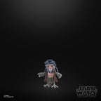 Star Wars: The Mandalorian Black Series Action Figure 2-Pack IG-12 & Grogu 15 cm Hasbro