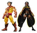 Marvel Legends Action Figure 2-Pack Storm & Wolverine 15 cm