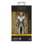 Star Wars: The Clone Wars Black Series Action Figur Jedi Temple Guard 15 cm Hasbro