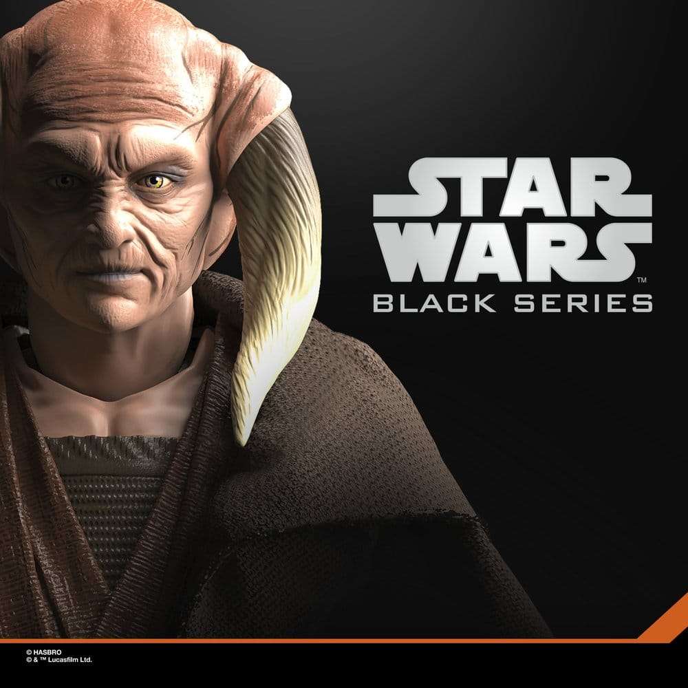 Star Wars Episode II Black Series Action Figure Saesee Tiin 15 cm
