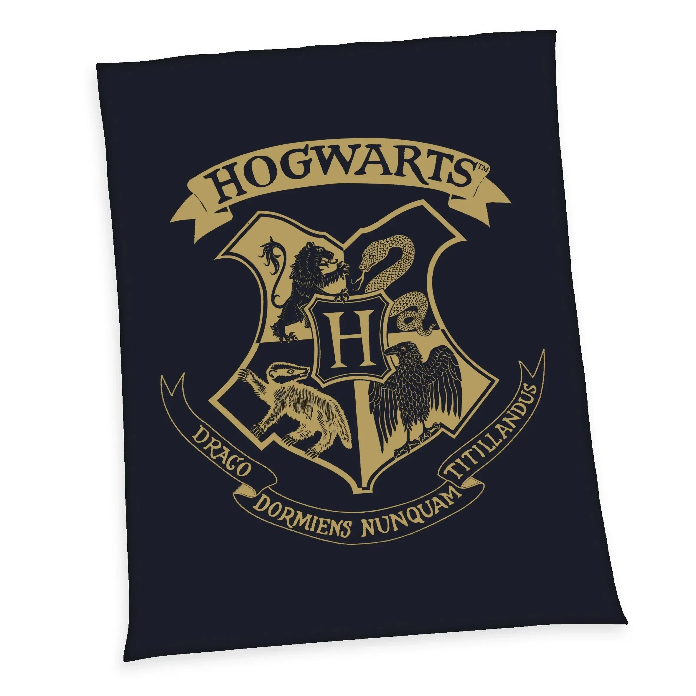 Harry Potter Fleecefilt Hogwarts 150 x 200 cm