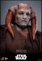 Star Wars: Episode III - Revenge of the Sith Movie Masterpiece Action Figur 1/6 Saesee Tiin 31 cm Hot Toys