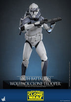 Star Wars The Clone Wars Action Figur 1/6 104th Battalion Wolfpack Clone Trooper 30 cm Hot Toys