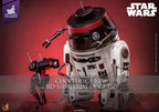Star Wars Action Figur Set 1/6 Chopper (C1-10P&trade;) & BD-1&trade; (Imperial Disguise) 18 cm & 8 cm Hot Toys