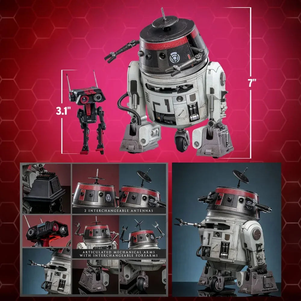 Star Wars Action Figur Set 1/6 Chopper (C1-10P&trade;) & BD-1&trade; (Imperial Disguise) 18 cm & 8 cm Hot Toys