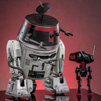 Star Wars Action Figur Set 1/6 Chopper (C1-10P&trade;) & BD-1&trade; (Imperial Disguise) 18 cm & 8 cm Hot Toys